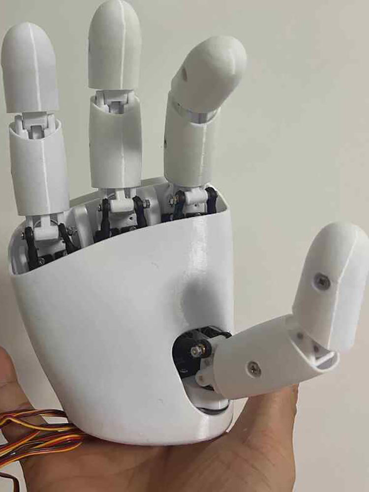 Mano Robótica AmazingHand de 8 - 3D Printing Robot reseña y precio