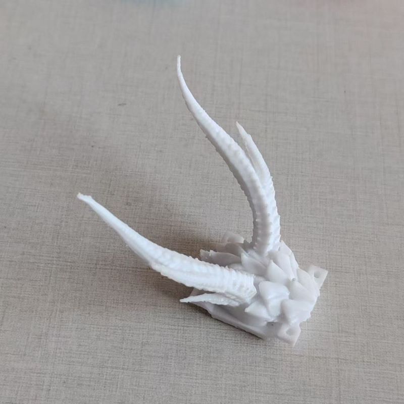 Base de cuerno de dragón de TP - 3D Printing Dragon reseña y precio